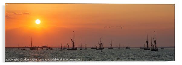 Swale estuary barges and Yawls at sunset Acrylic by Alan Payton