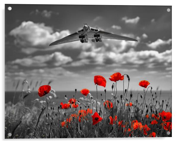 The Vulcan Poppy Field Acrylic by Airborne Images