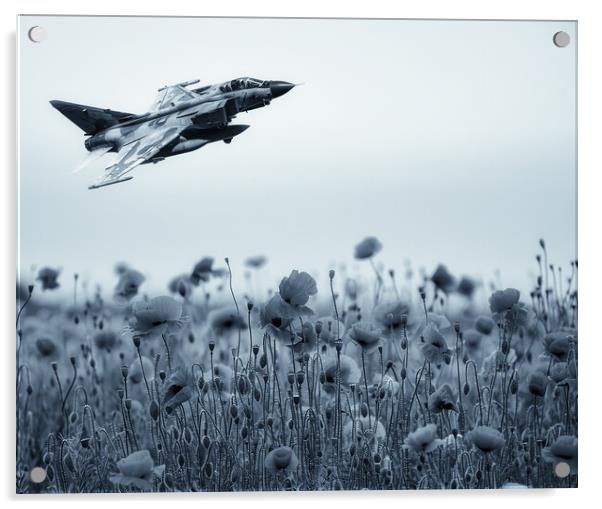 Panavia Tornado ADV Tribute Acrylic by Airborne Images