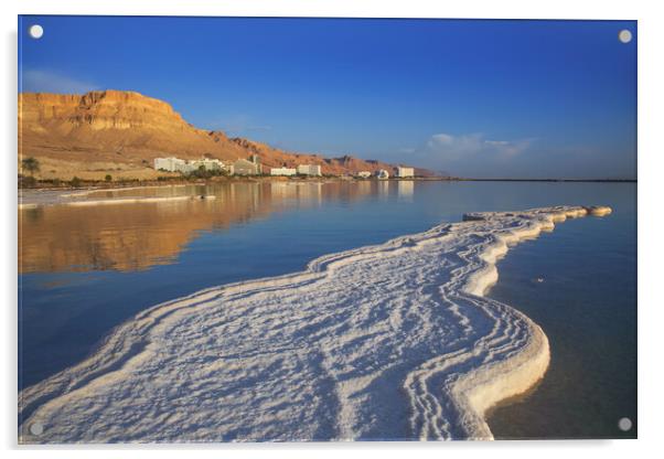 Salt deposits, typical landscape of the Dead Sea. Acrylic by Olga Peddi