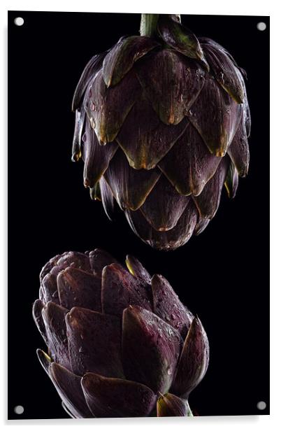 Fresh raw artichokes on black background. Ripe org Acrylic by Olga Peddi