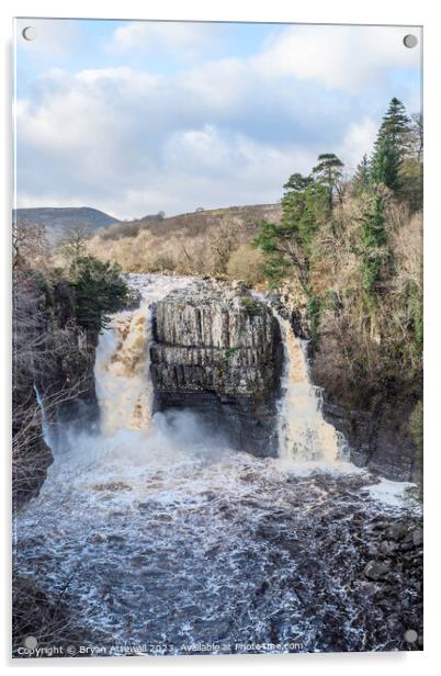 High Force waterfall Acrylic by Bryan Attewell