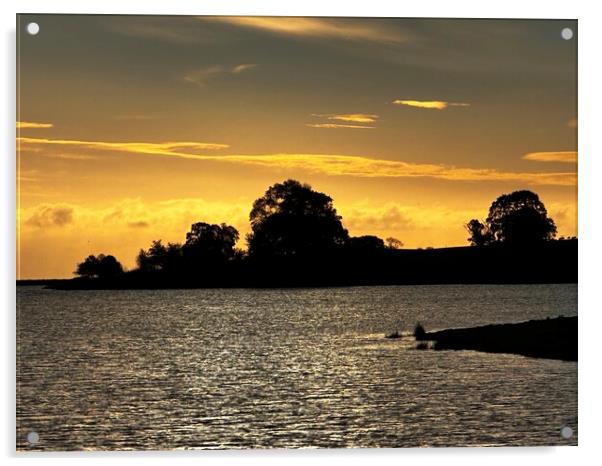 Sunrise in Staffordshire, Blithfield Reservoir  Acrylic by Dorin Budeanu