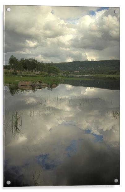 Reflecting on a lake  Acrylic by Alan Pickersgill