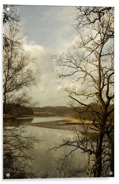 The Hamble from Curbrudge Acrylic by Alan Pickersgill