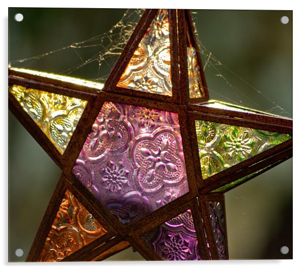 Cobweb star Acrylic by Alan Pickersgill
