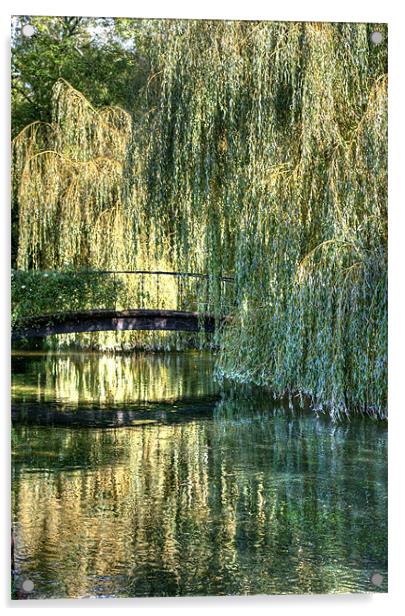 Willow Bridge Acrylic by Alan Pickersgill