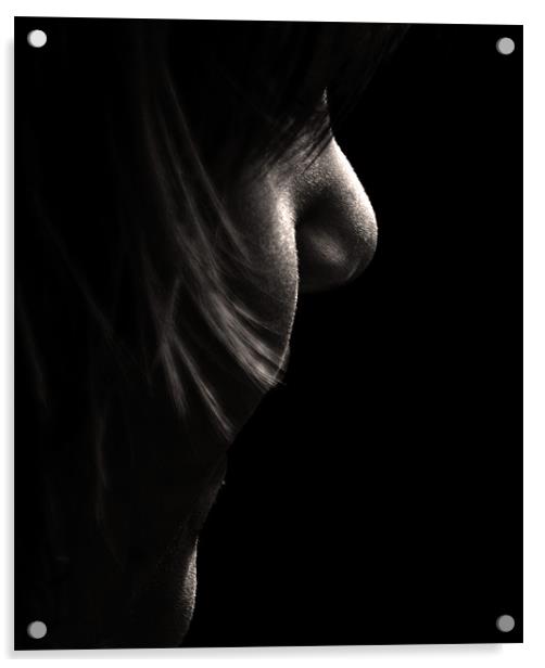 Silhouette profile Acrylic by Alan Pickersgill
