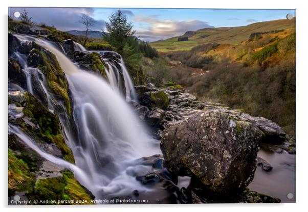 Loup of fintry Scotland  Acrylic by Andrew percival