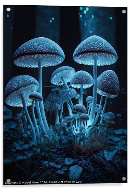 Radiant Fungi I Acrylic by Harold Ninek