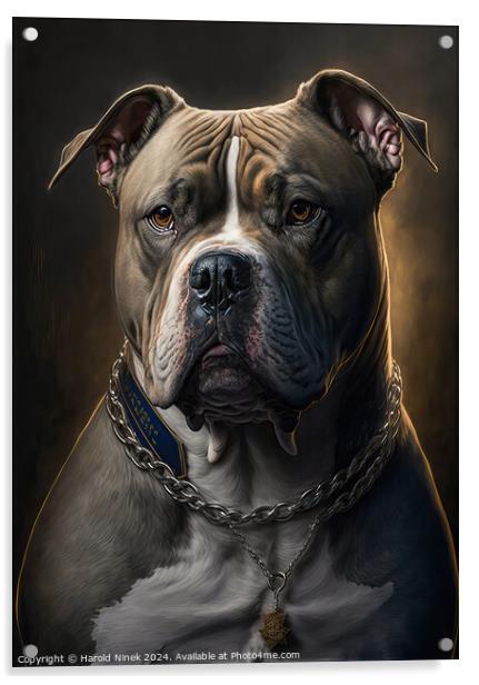 American Bully Acrylic by Harold Ninek