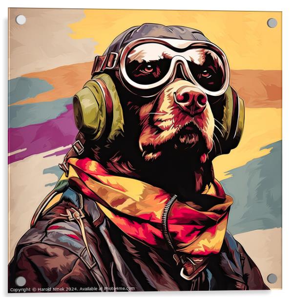 Dogfighter Acrylic by Harold Ninek