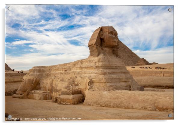 Great Sphinx of Giza Acrylic by Tony Davis