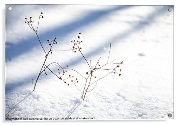 Snow Ikebana Acrylic by Suppakij Vorasriherun