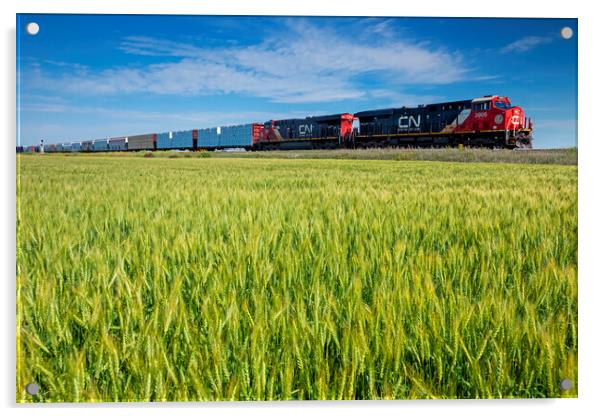 locomotives pulling general freight pass a spring wheat field Acrylic by Dave Reede
