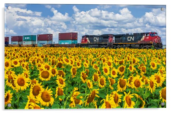 locomotives pulling containers pass a sunflower field Acrylic by Dave Reede