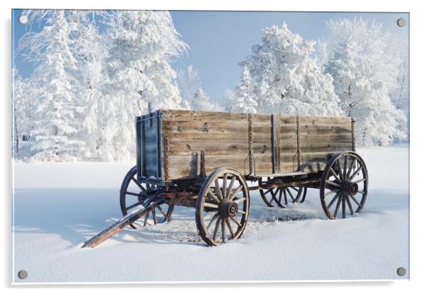 old wagon  Acrylic by Dave Reede