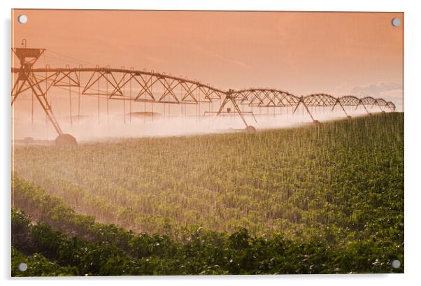 center pivot irrigation system Acrylic by Dave Reede
