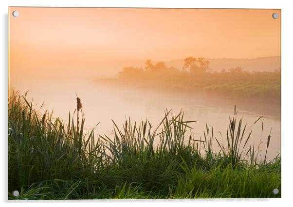 morning along the Qu´Appelle  River Acrylic by Dave Reede