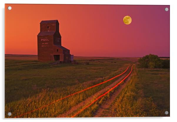 old grain elevator, abandoned town of Bents Acrylic by Dave Reede
