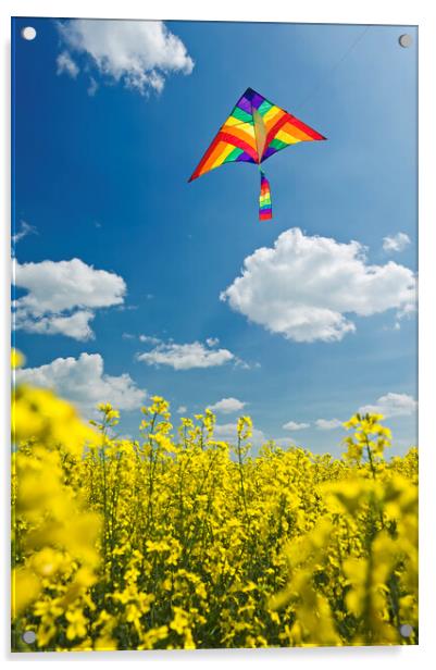kite over field Acrylic by Dave Reede