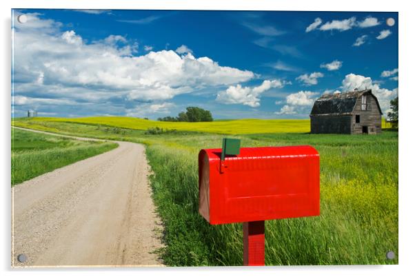 mailbox along country road Acrylic by Dave Reede