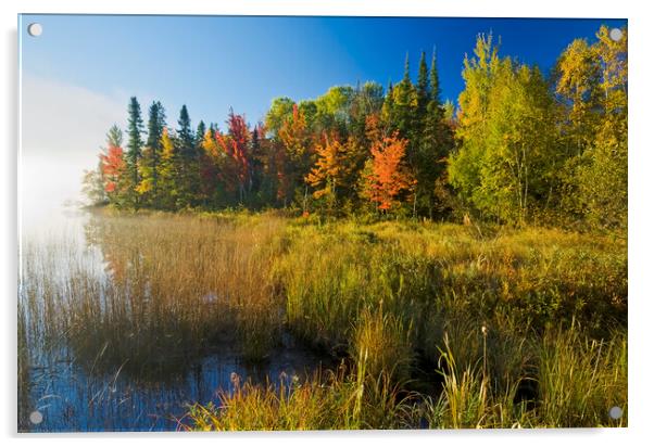 autumn, Bunny Lake Acrylic by Dave Reede