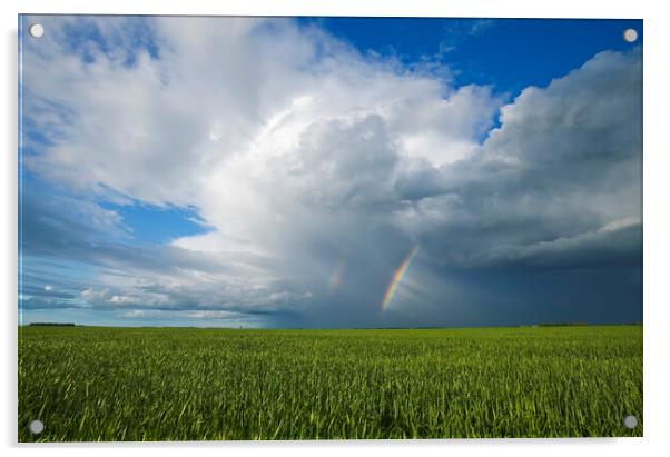 grain field and sky with rainbow  Acrylic by Dave Reede