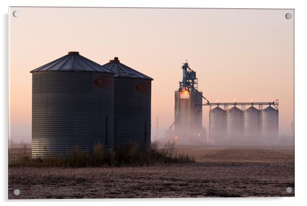 grain storage bins in a harvested soybean field with inland grain terminal in the background Acrylic by Dave Reede