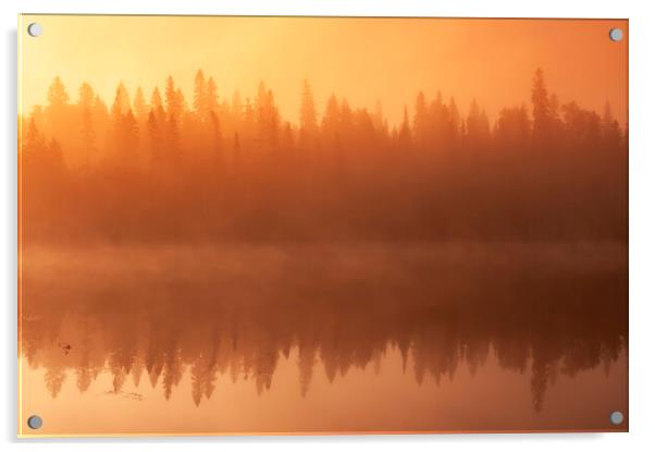 Morning Fog Over Lake Acrylic by Dave Reede