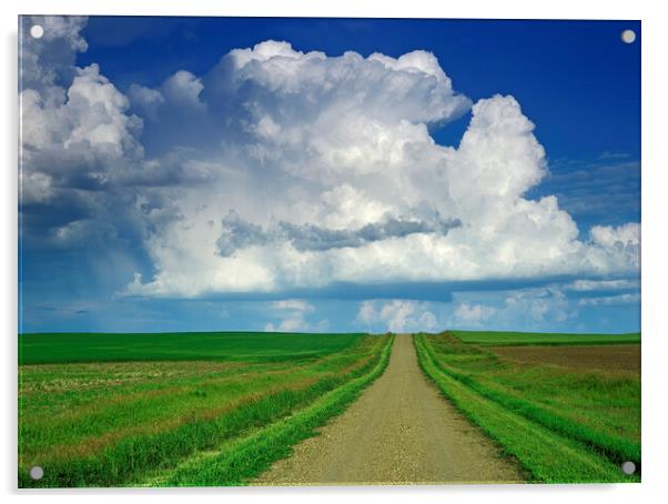 country road with cumulonimbus cloud mass in the background Acrylic by Dave Reede