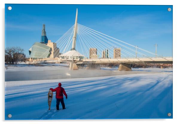 Winnipeg Skyline Acrylic by Dave Reede