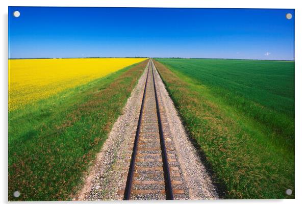 Railway Through Farmland Acrylic by Dave Reede