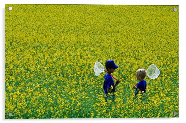 Boys in Canola Field Acrylic by Dave Reede