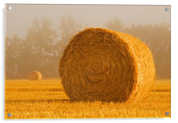 Wheat Straw Bales in the Fog Acrylic by Dave Reede