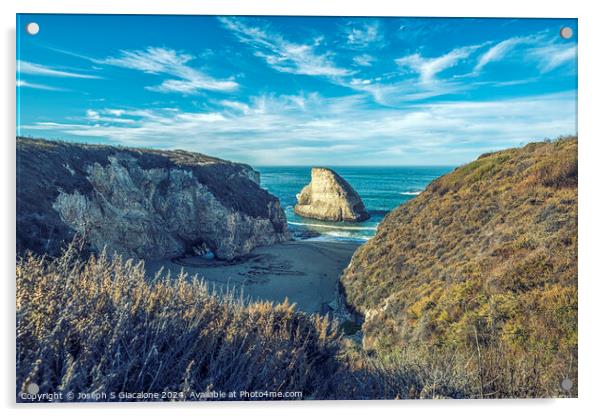 Shark Fin Cove Summer Acrylic by Joseph S Giacalone