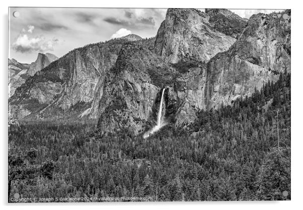 Yosemite Valley Majesty Monochrome Acrylic by Joseph S Giacalone