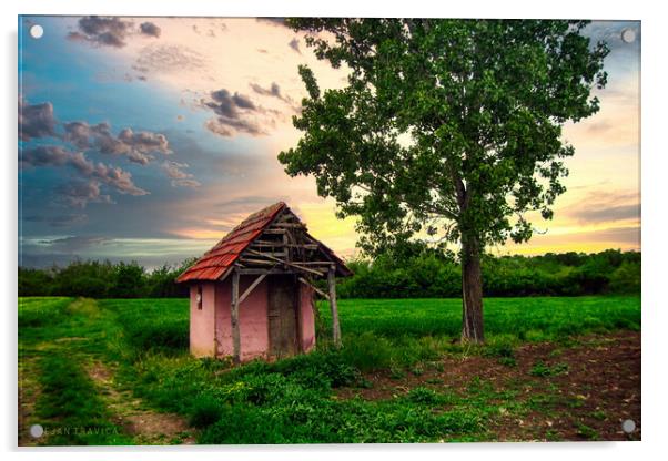 A hut in the field Acrylic by Dejan Travica