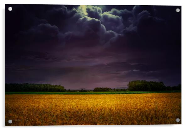  Wheat field under the purple sky Acrylic by Dejan Travica
