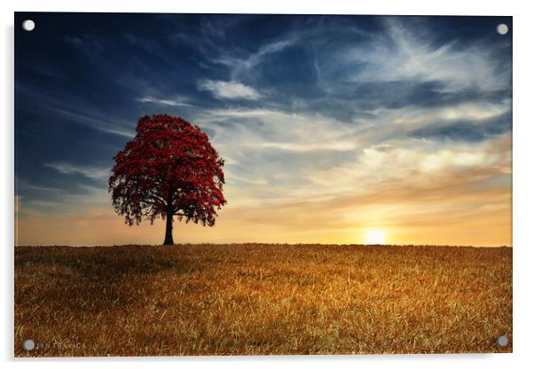 Red tree in the golden field Acrylic by Dejan Travica
