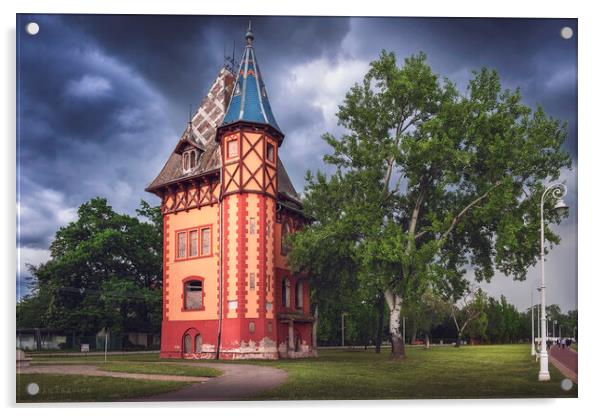 The old villa Bagojvar - Owl's tower Acrylic by Dejan Travica