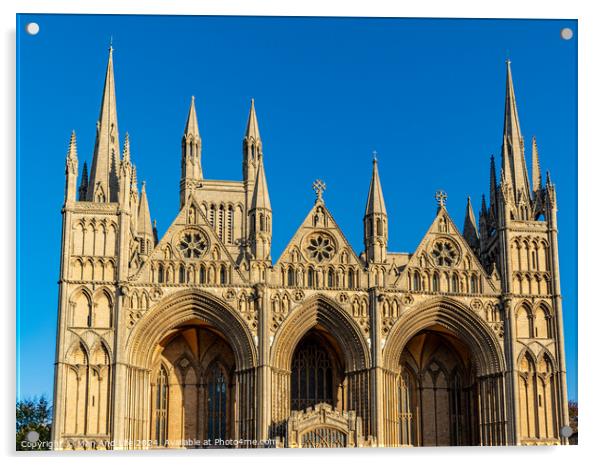 Peterborough Cathedral Acrylic by Man And Life