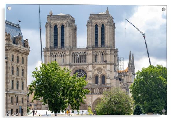 Notre Dame de Paris Acrylic by Man And Life