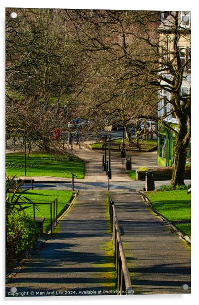 Sunny park pathway with trees casting shadows, green grass and benches, urban tranquil scene in Harrogate, England. Acrylic by Man And Life