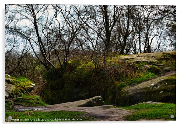 Serene woodland landscape with moss-covered rocks and bare trees against a cloudy sky at Brimham Rocks, in North Yorkshire Acrylic by Man And Life