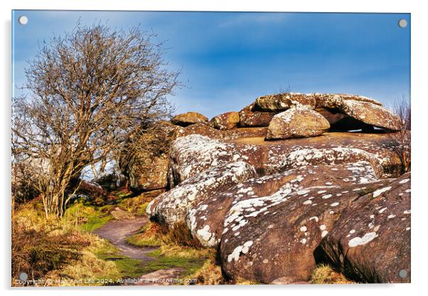 Scenic view of a rocky outcrop with lichen spots, a leafless tree, and a clear blue sky in the countryside at Brimham Rocks, in North Yorkshire Acrylic by Man And Life