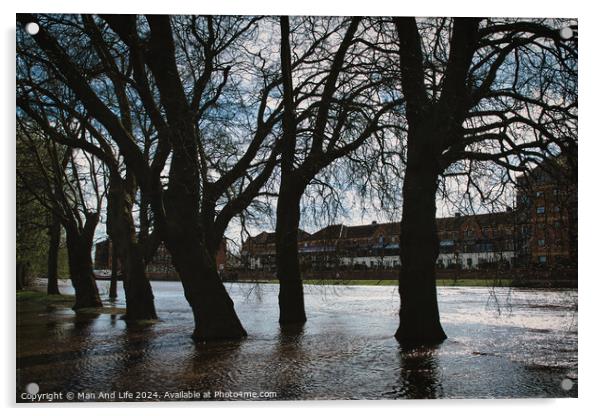 Silhouetted trees line a flooded urban street with historical buildings in the background, under a cloudy sky, conveying a moody and dramatic atmosphere in York, North Yorkshire, England. Acrylic by Man And Life