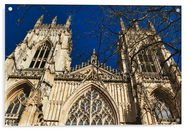 Gothic cathedral facade with intricate architecture and blue sky background, framed by bare tree branches in York, North Yorkshire, England. Acrylic by Man And Life