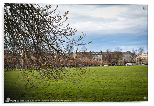 Early spring scenery with budding branches in the foreground and a lush green park leading to a row of urban buildings under a dynamic cloudy sky in Harrogate, North Yorkshire. Acrylic by Man And Life