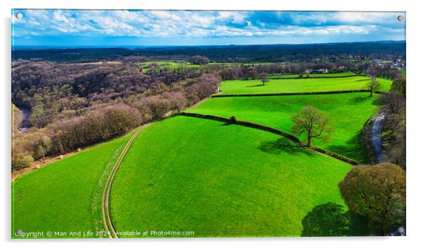 Aerial view of lush green countryside with fields, trees, and a winding path under a blue sky with scattered clouds. Acrylic by Man And Life